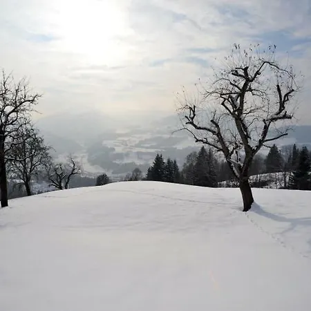 Haus Anni *